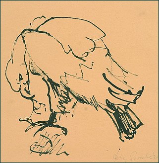 Buzzard